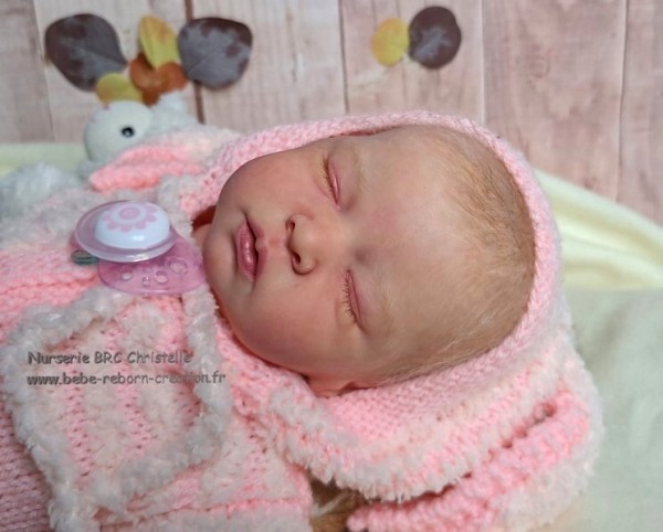 Mia bebe-reborn-creation (2)